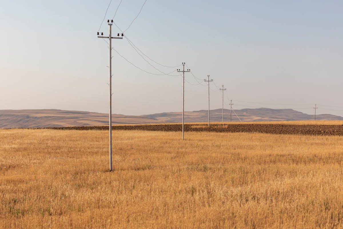 Power lines across a field